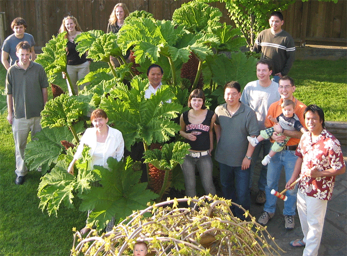 Brinkman Lab, Summer 2003